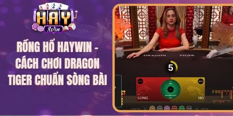 Rồng Hổ Haywin – Cách Chơi Dragon Tiger Chuẩn Sòng Bài